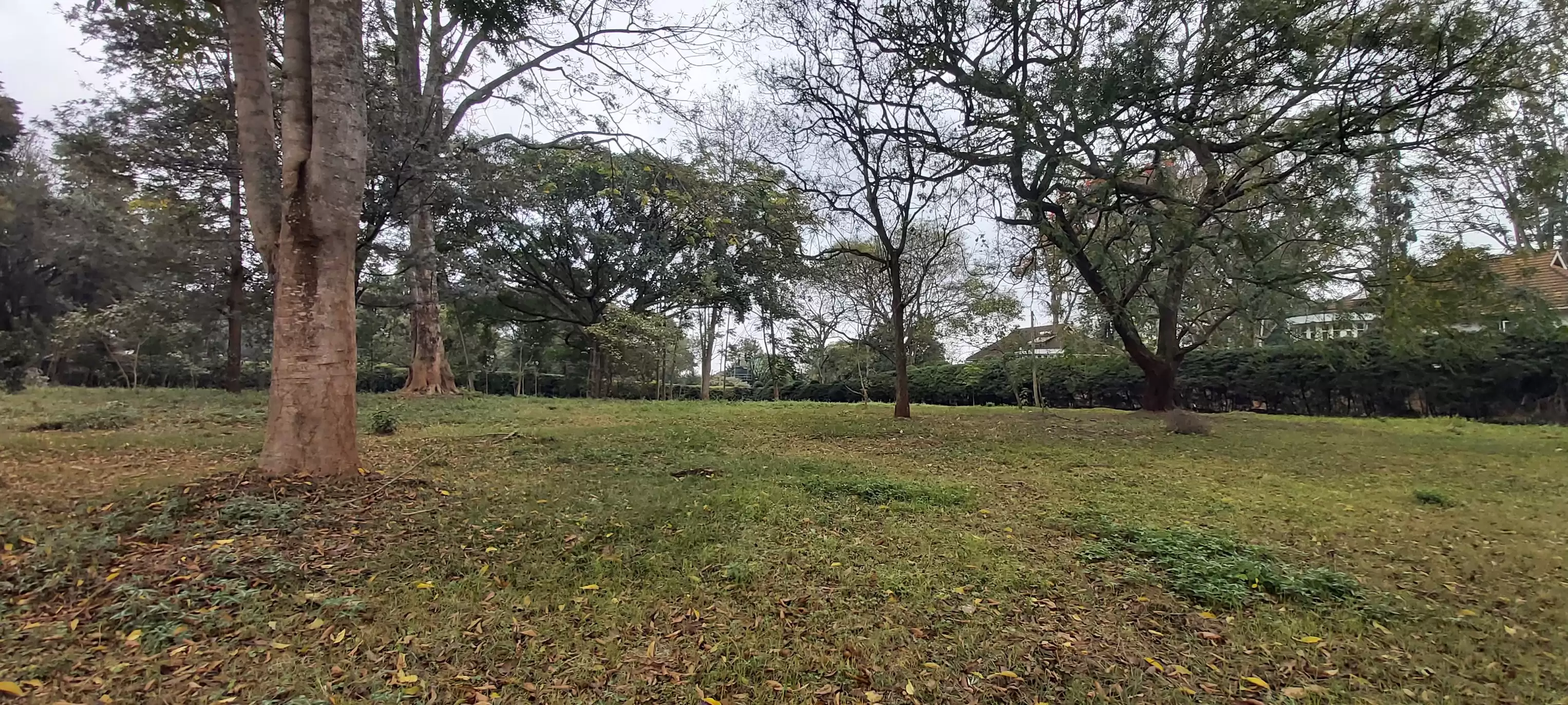 4 acre land for sale in Rosslyn Image