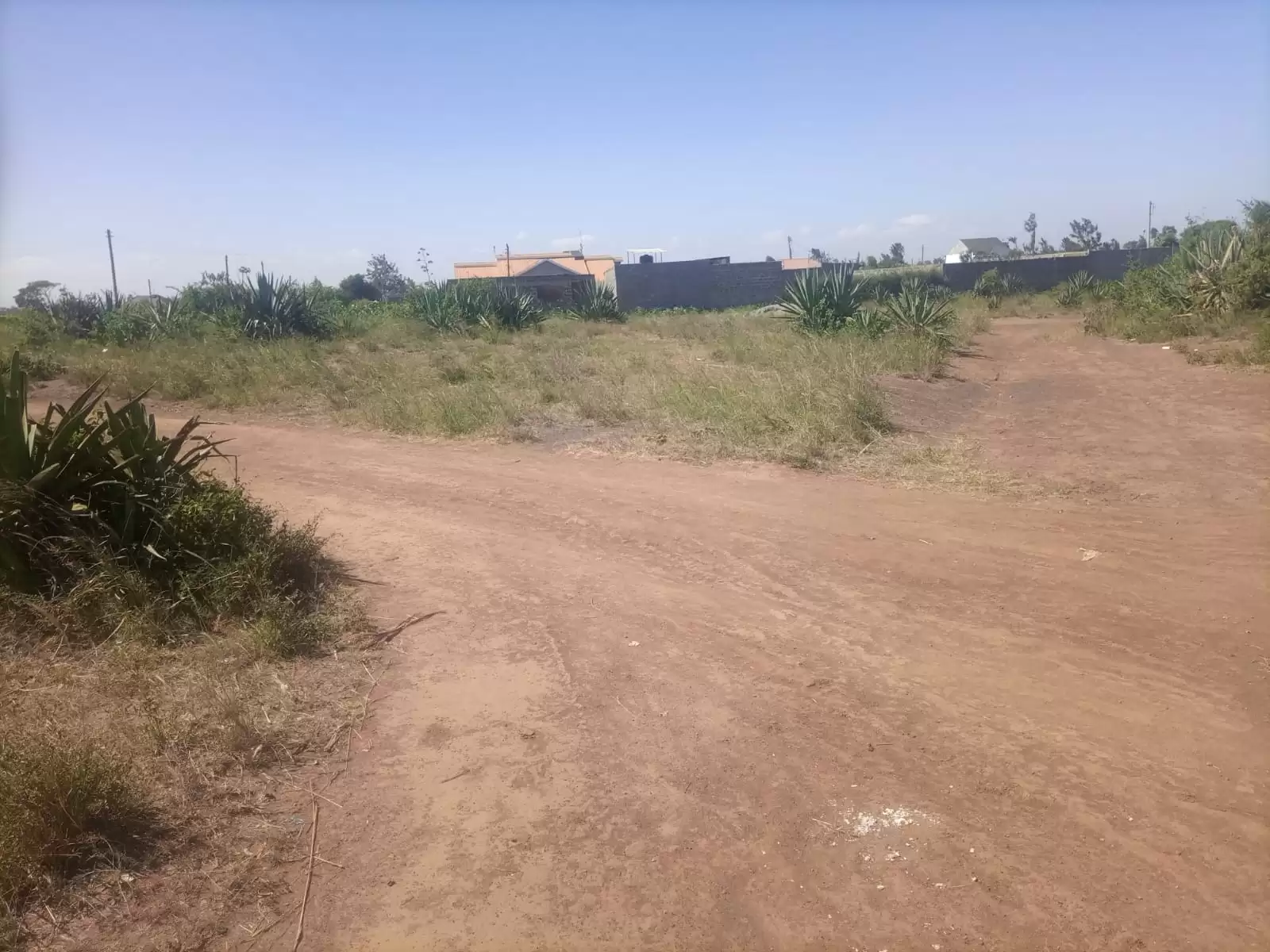 40 by 60 plots for sale in Murera Ndarasha Ndurumo gwa Tom Image