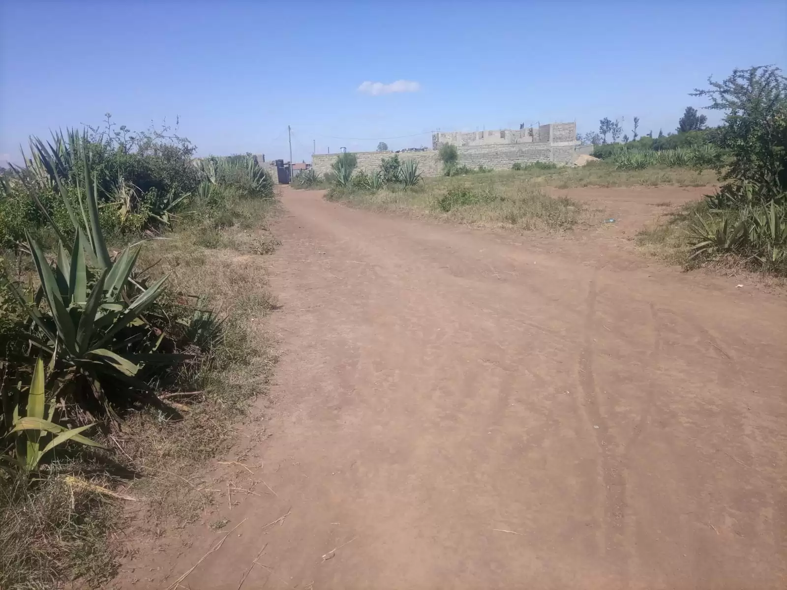 40 by 60 plots for sale in Murera Ndarasha Ndurumo gwa Tom Image