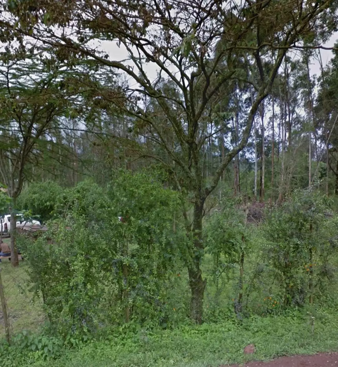 4.5 acres land for sale in Ngong Kibiko Image