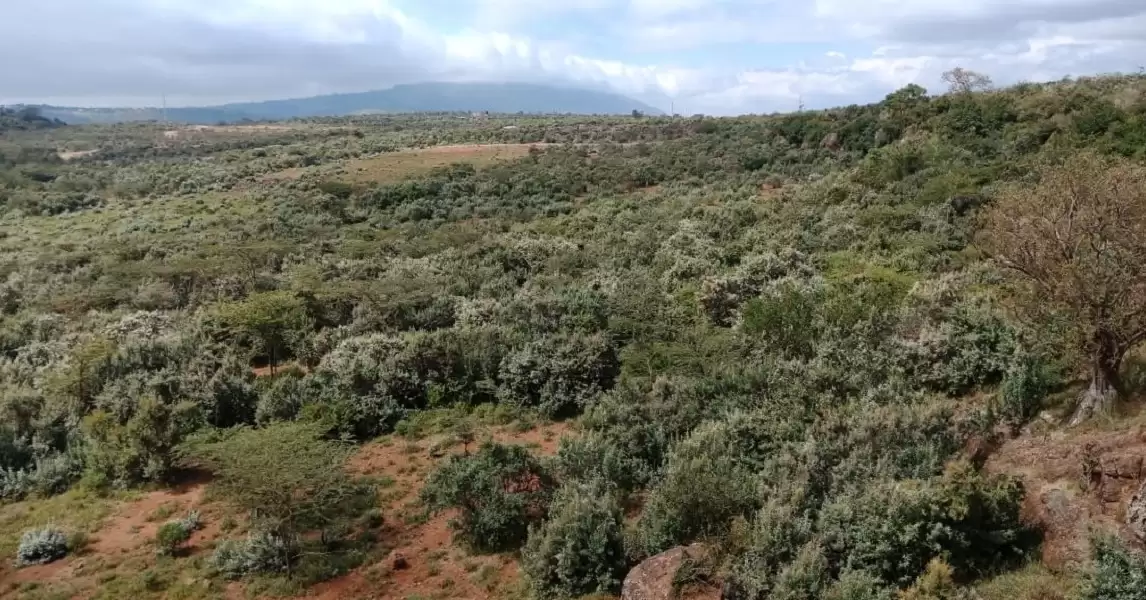 4.6 acre land for sale in Ngong Olooshoibor Image