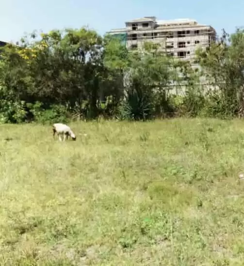 5 acre land for sale in Kasarani Image