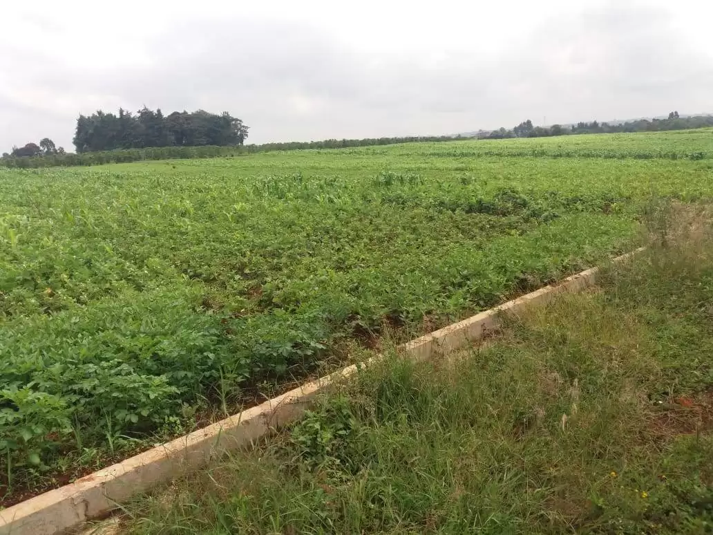 5 acre land for sale in Kitisuru Image