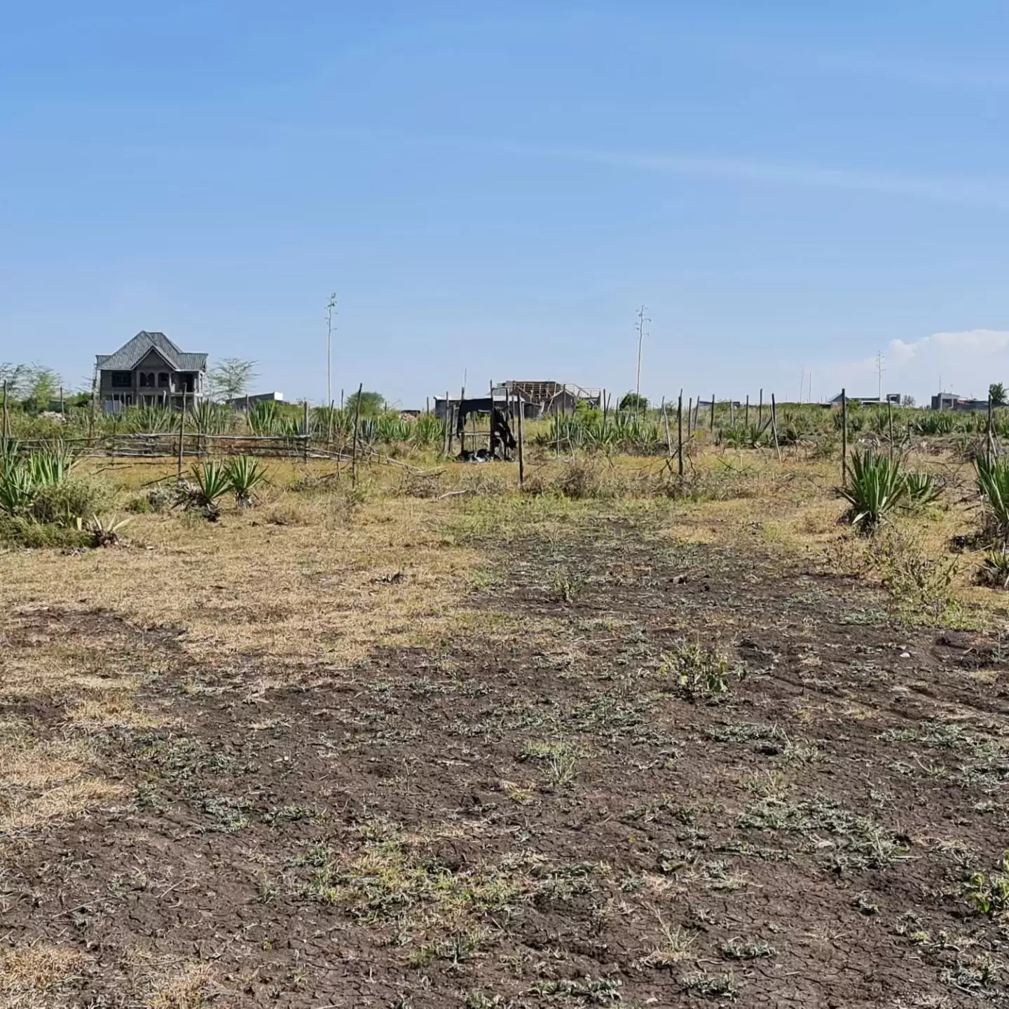 50 by 100 plot for sale in Katani Image