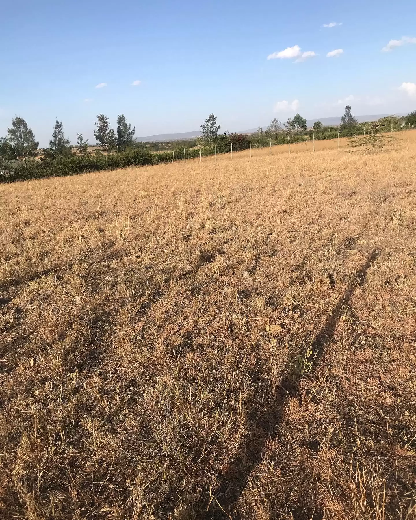 50 by 100 plot for sale in Kitengela Korompoi Image