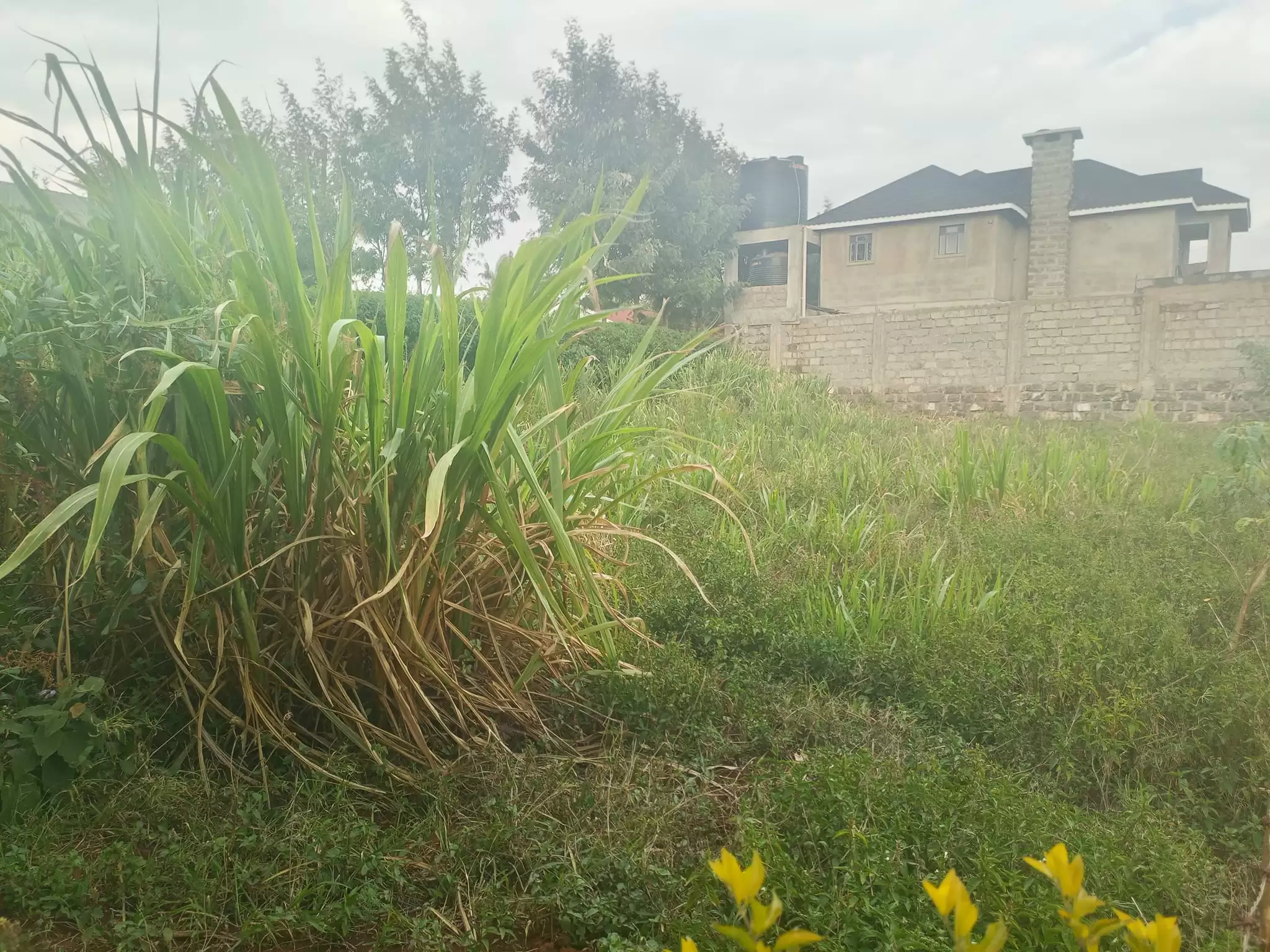 50 by 100 plot for sale in Ngong Kibiko Image