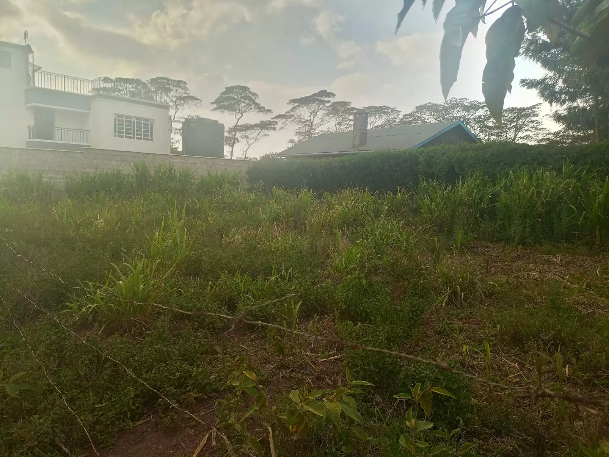 50 by 100 plot for sale in Ngong Kibiko Image