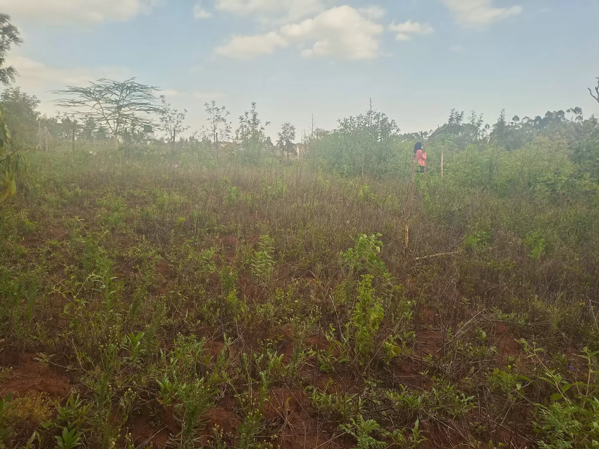 50 by 100 plot for sale in Ngong Kibiko Image