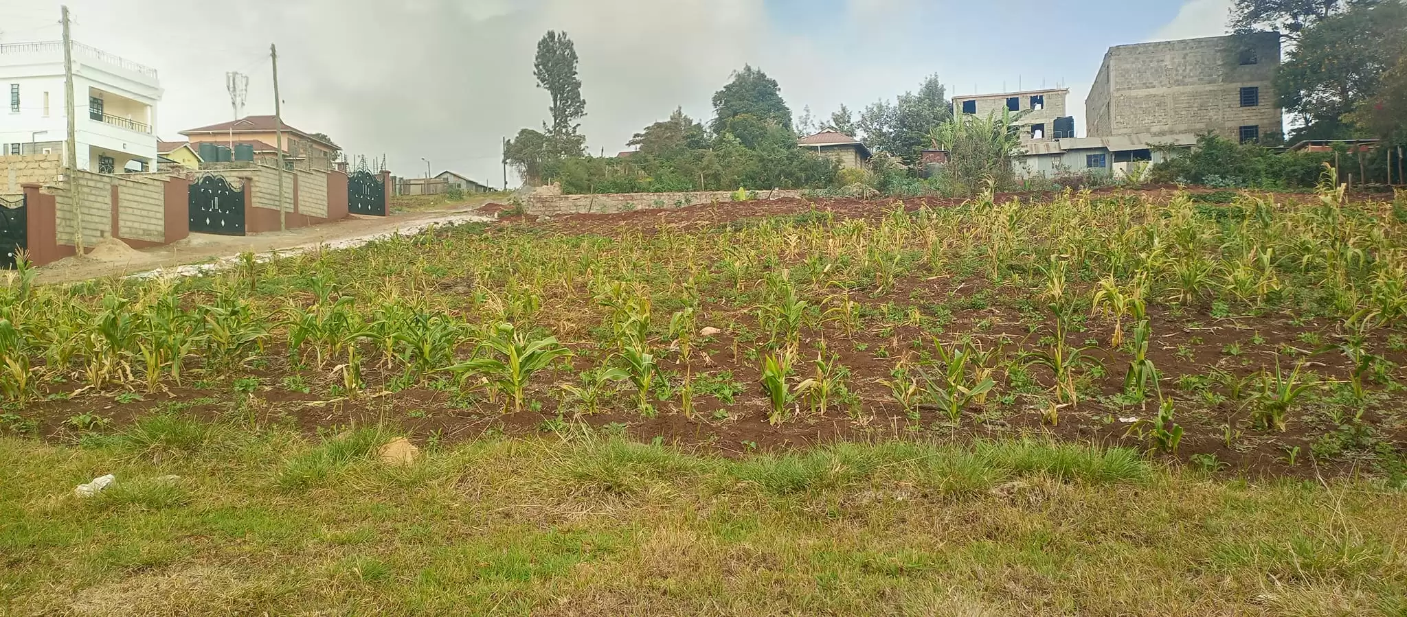 50 by 100 plot for sale in Ngong Kibiko Image