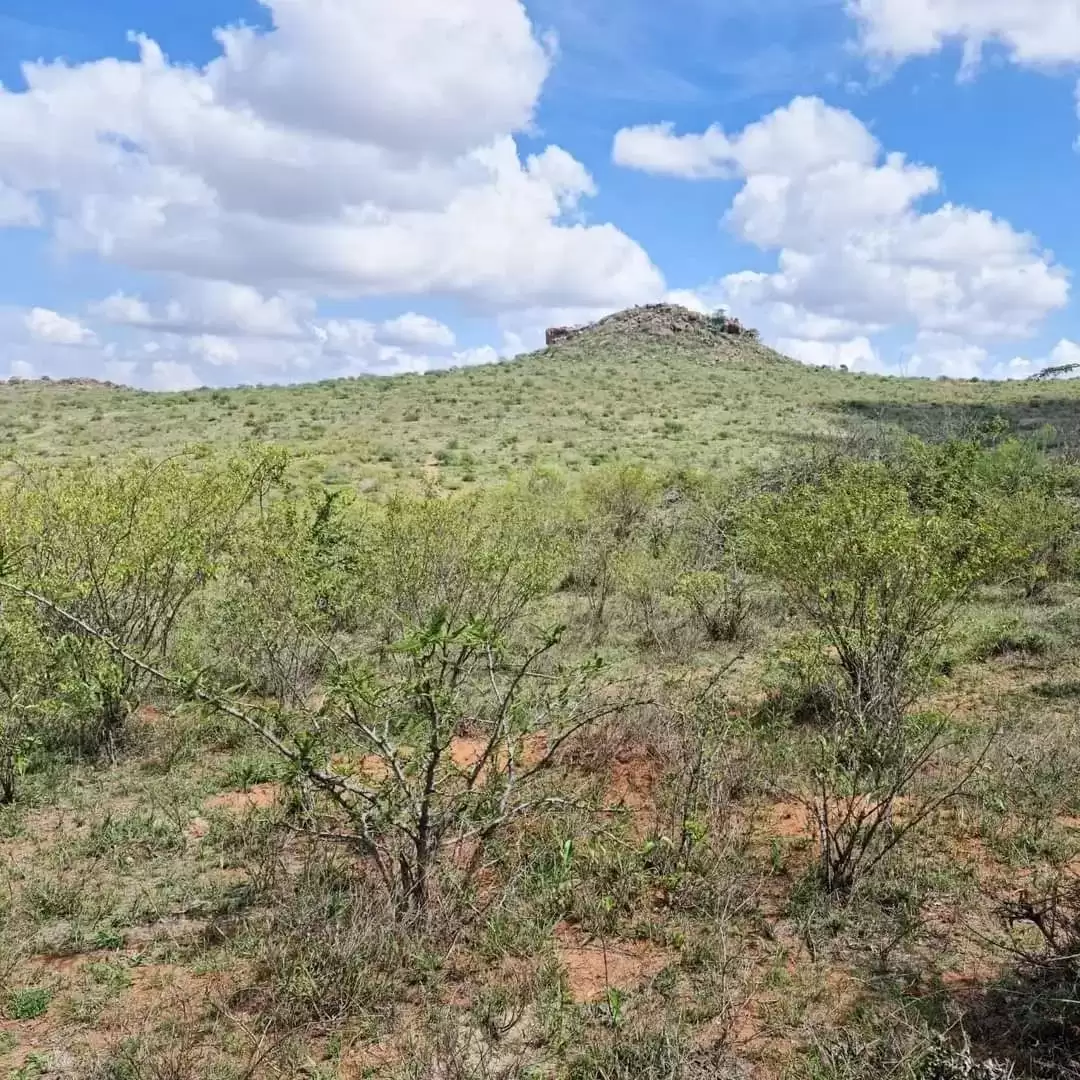 50 by 100 plots for sale in Athi river near daystar Image