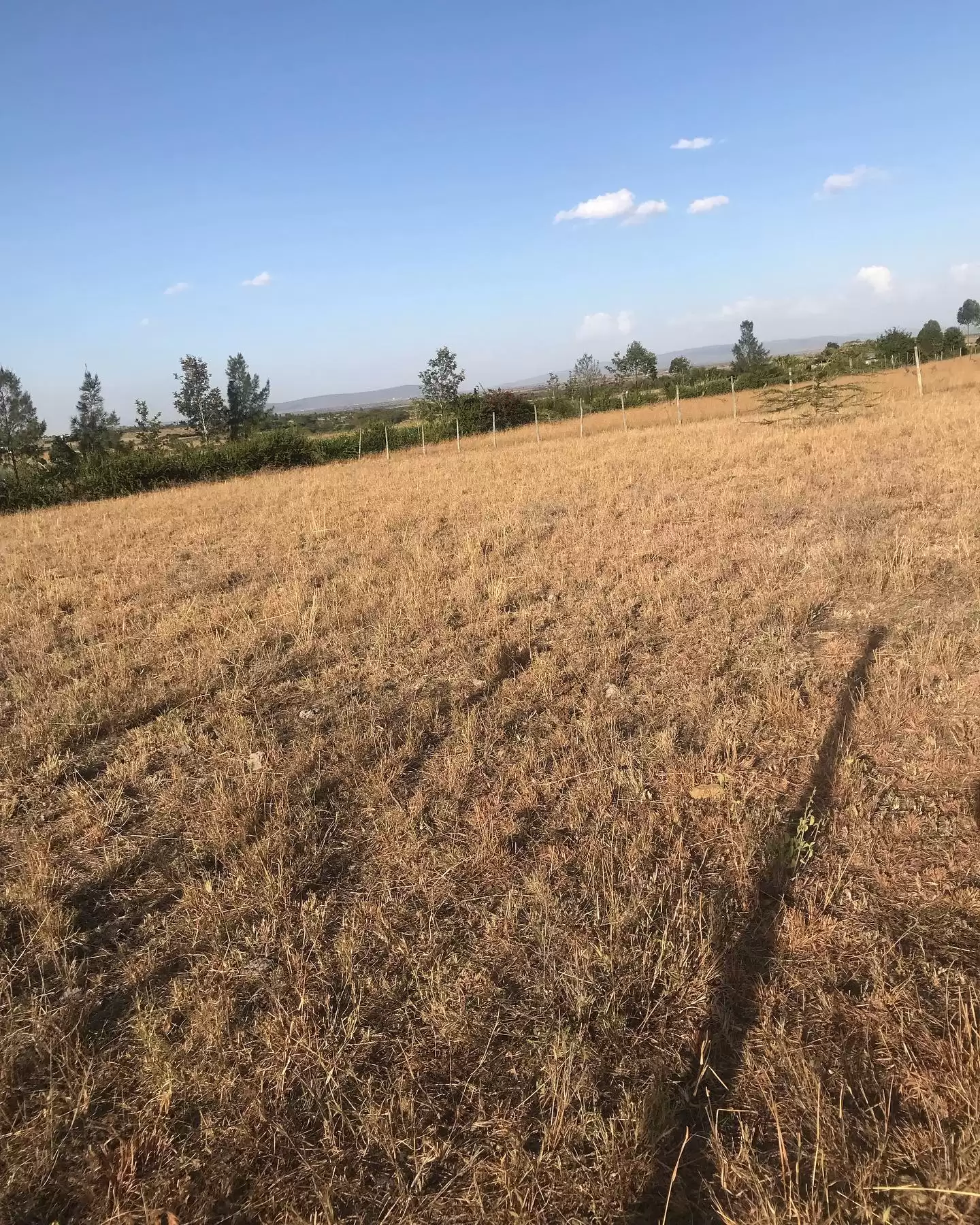 50 by 100 plots for sale in Kitengela Korompoi Image