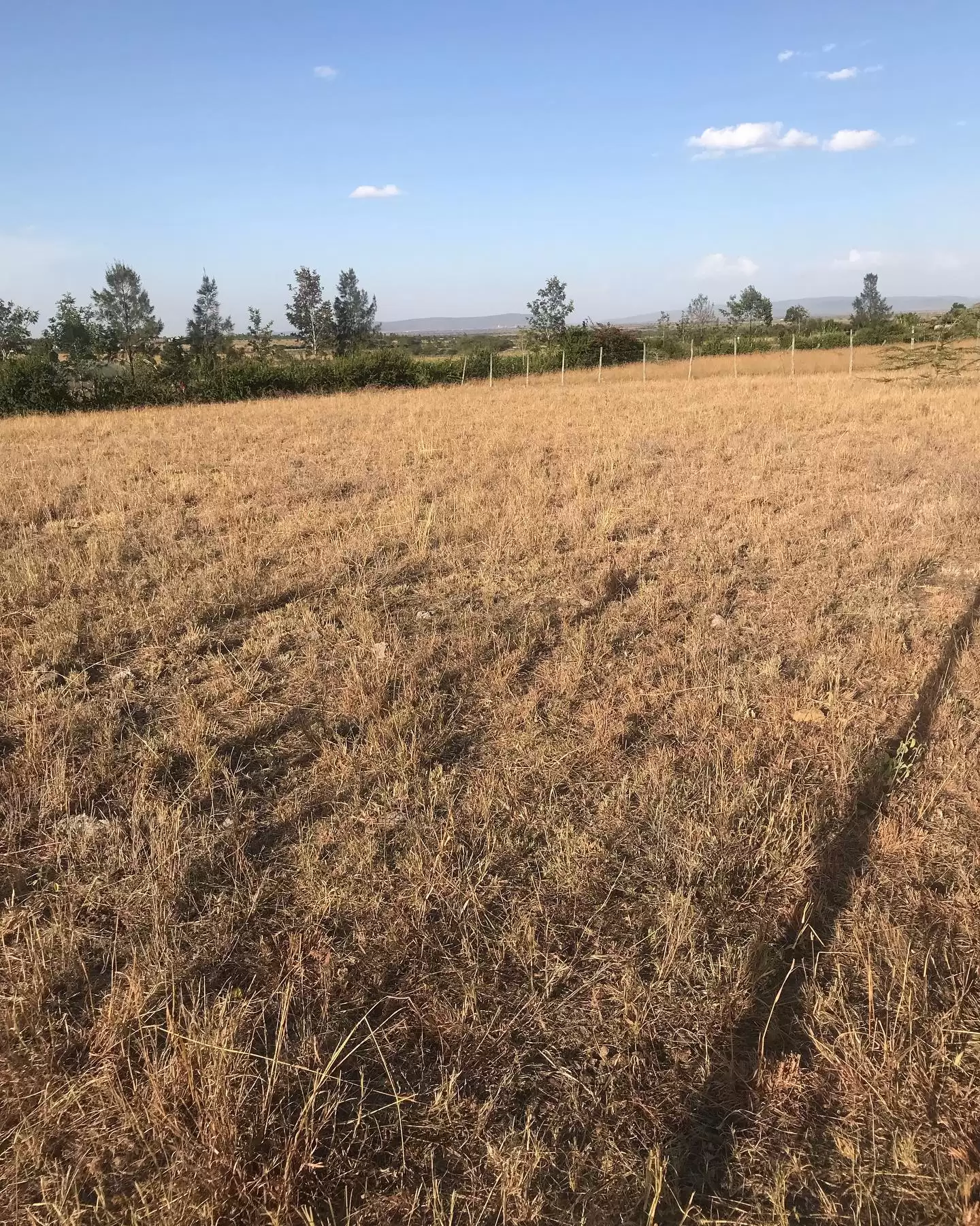 50 by 100 plots for sale in Kitengela Korompoi Image