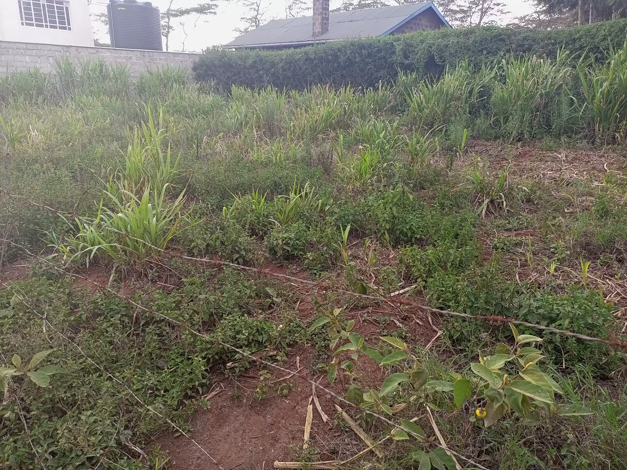 50 by 100 plots for sale in Ngong Kibiko Image