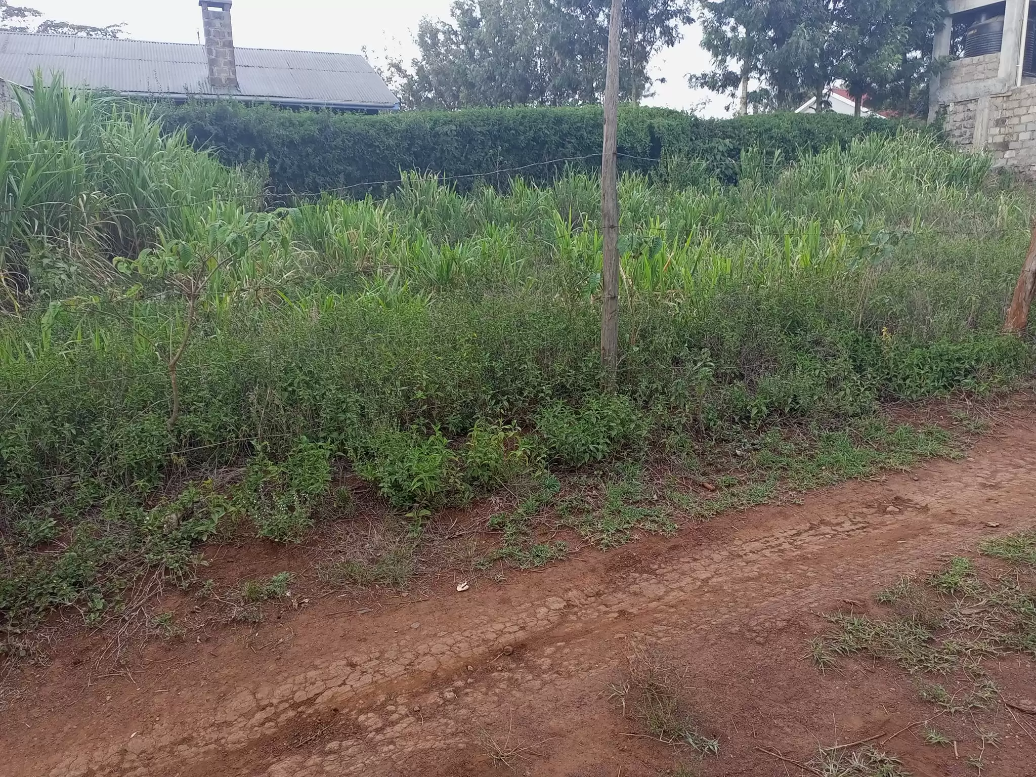 50 by 100 plots for sale in Ngong Kibiko Image