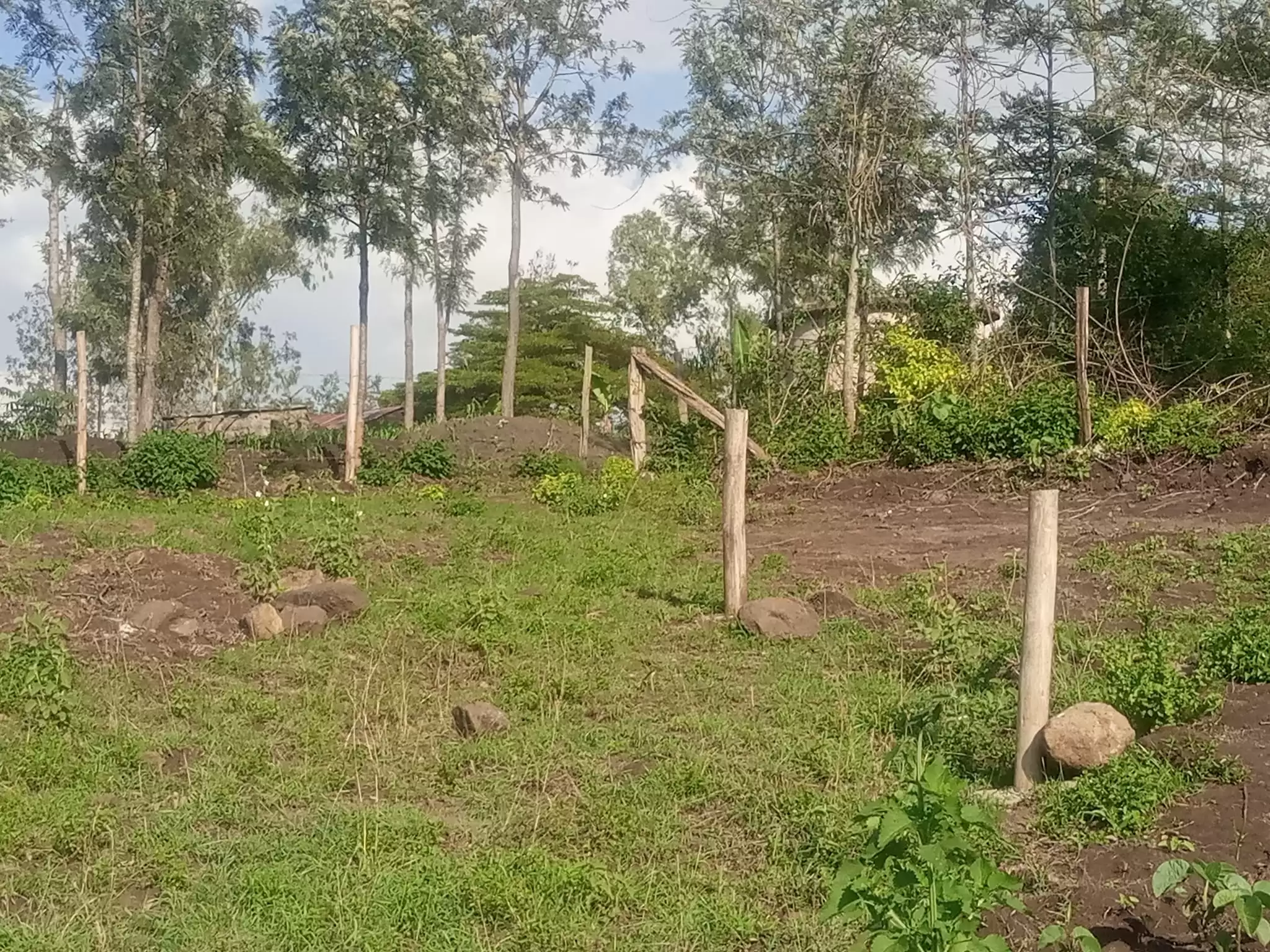 50 by 100 plots for sale in Ngong Matasia Image