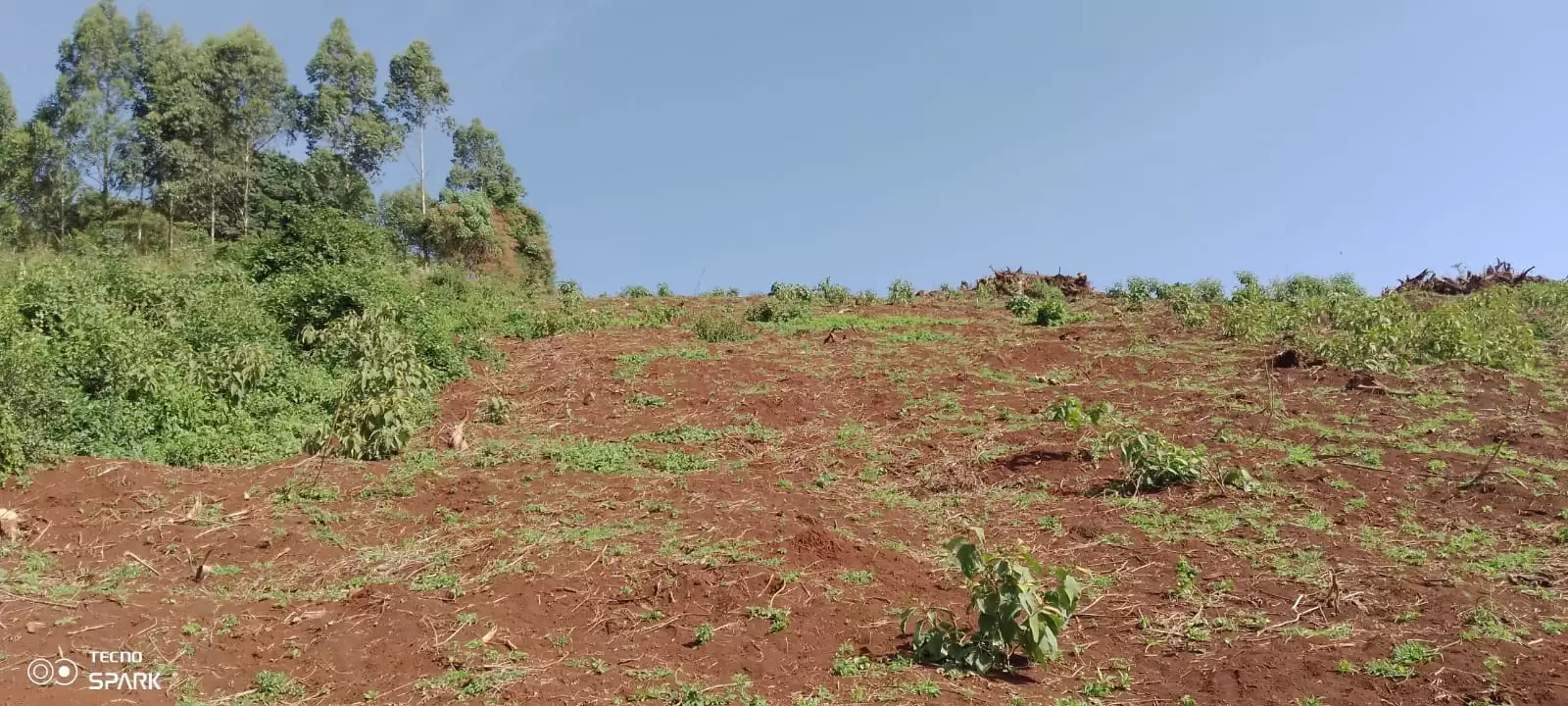 5.5 acre land for lease in Ngong Kahara Image