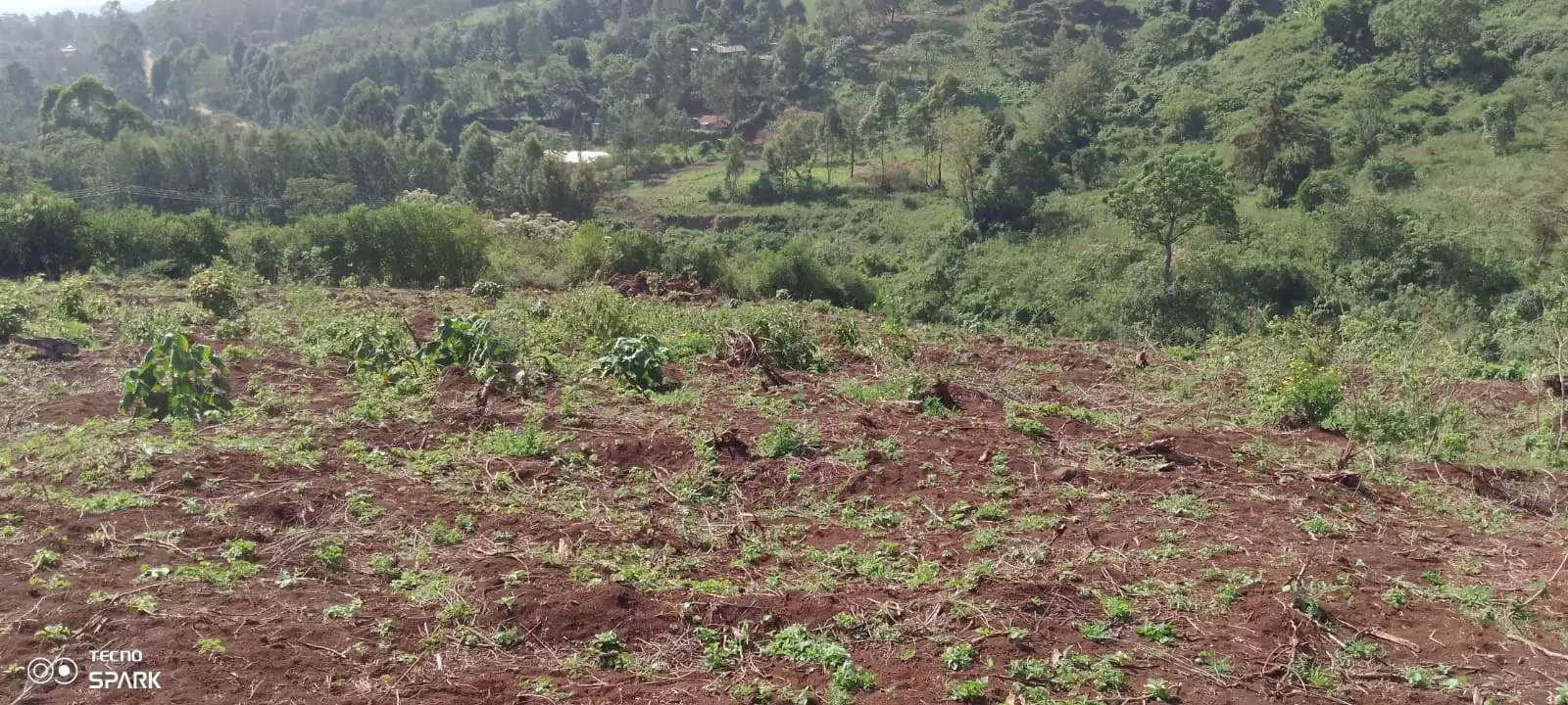 5.5 acre land for lease in Ngong Kahara Image