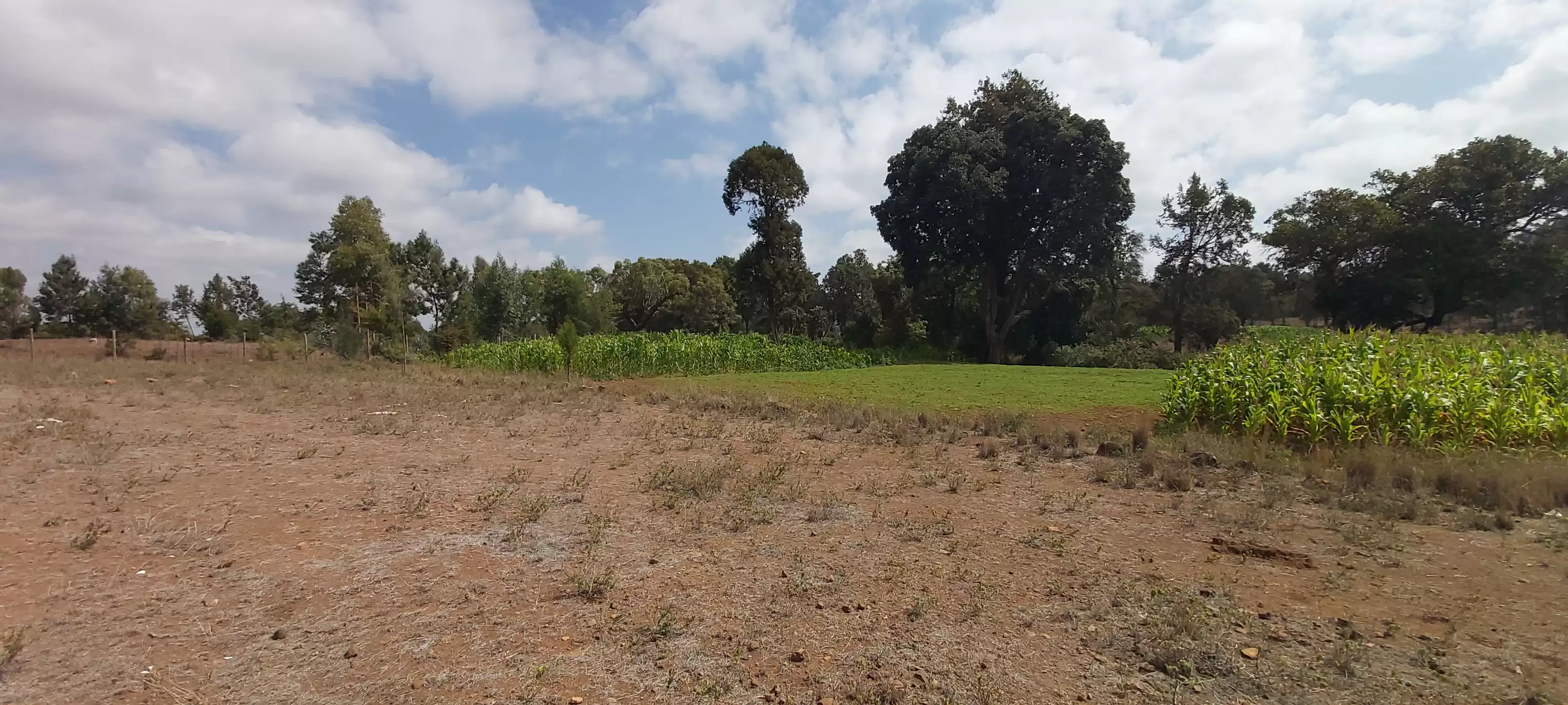 8 acre land for sale in Timau Image