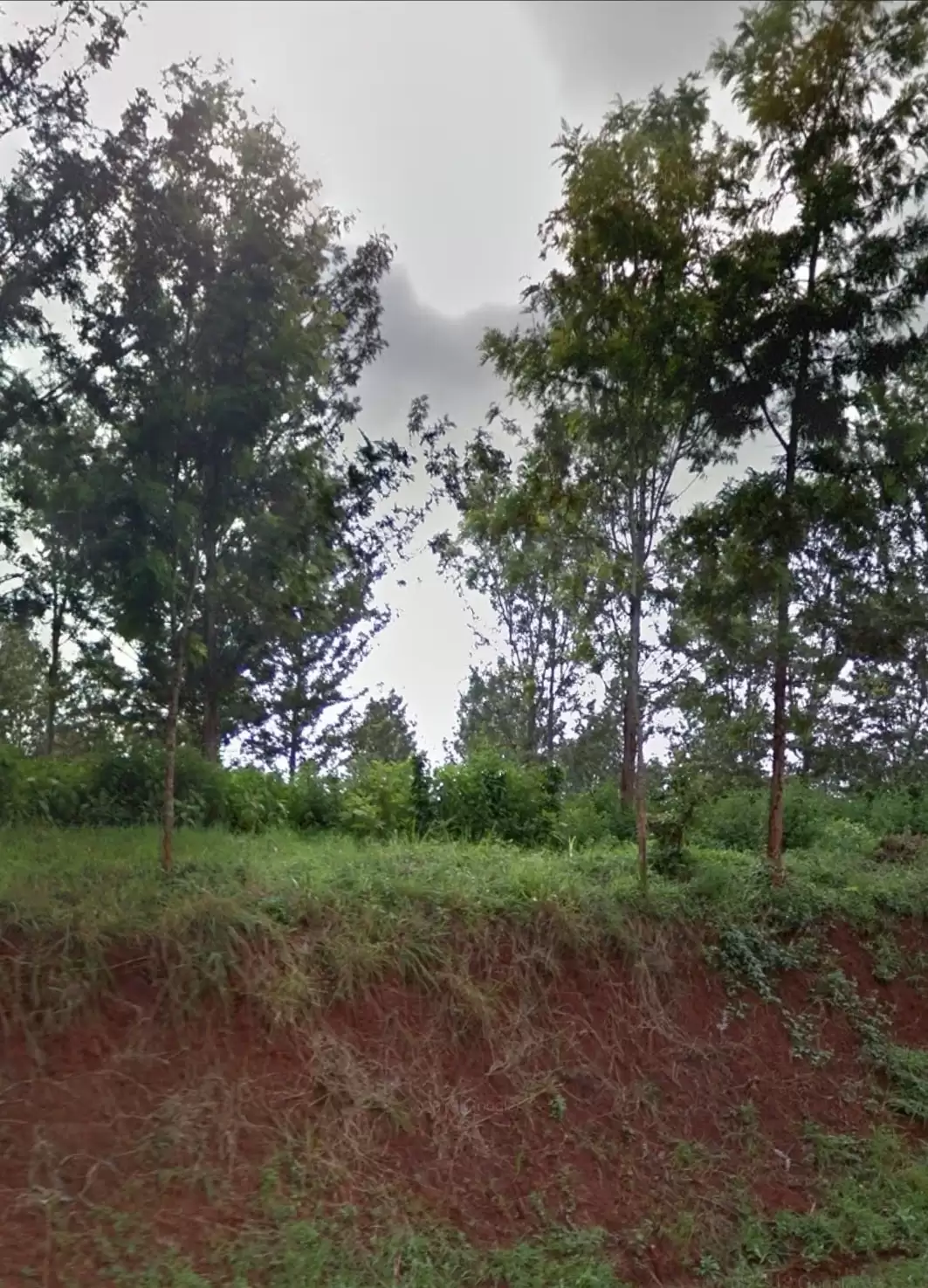 80 acre coffee farm for sale in Thika Image