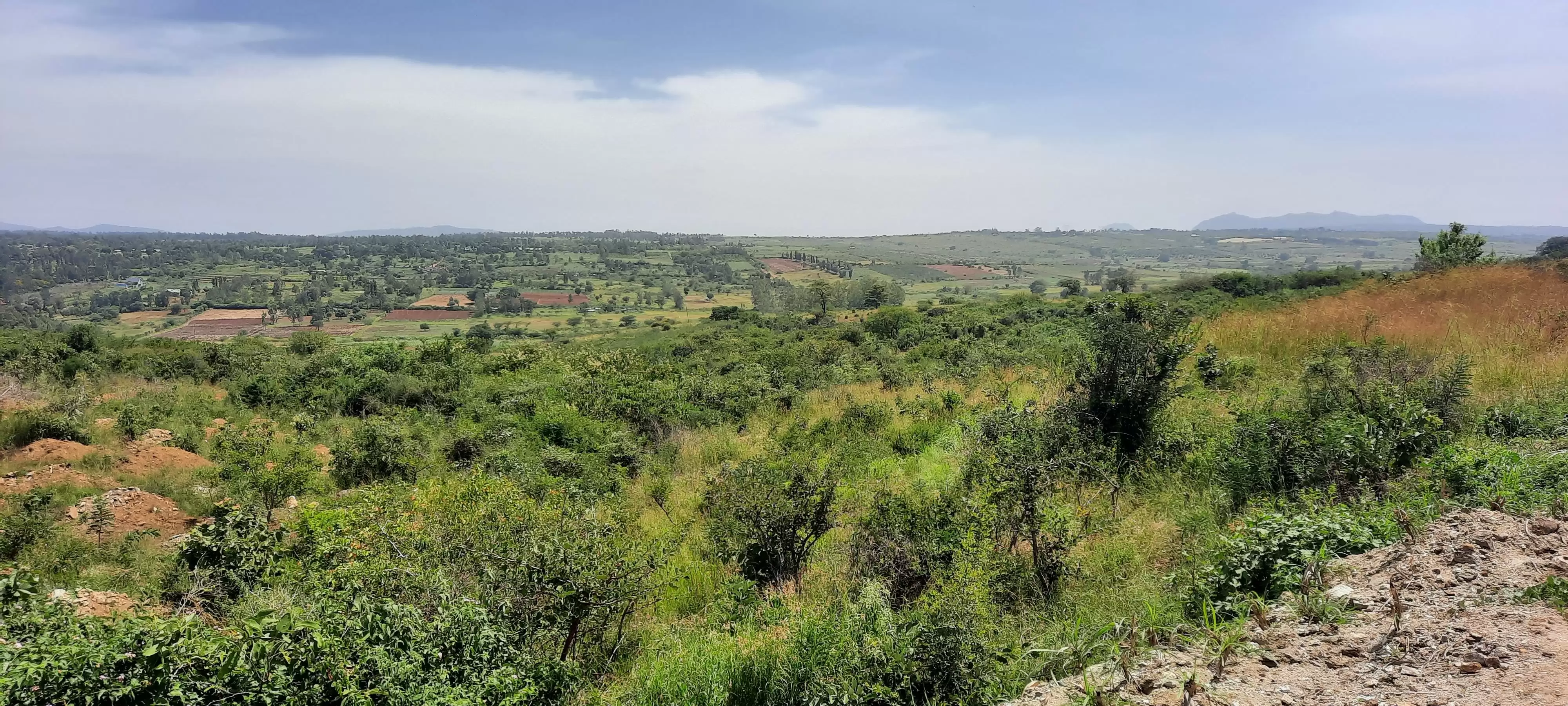 8.4 acres for sale, Ngoliba, Thika Garissa Highway Image