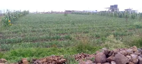 9 acre farmland for sale in Isinya Image