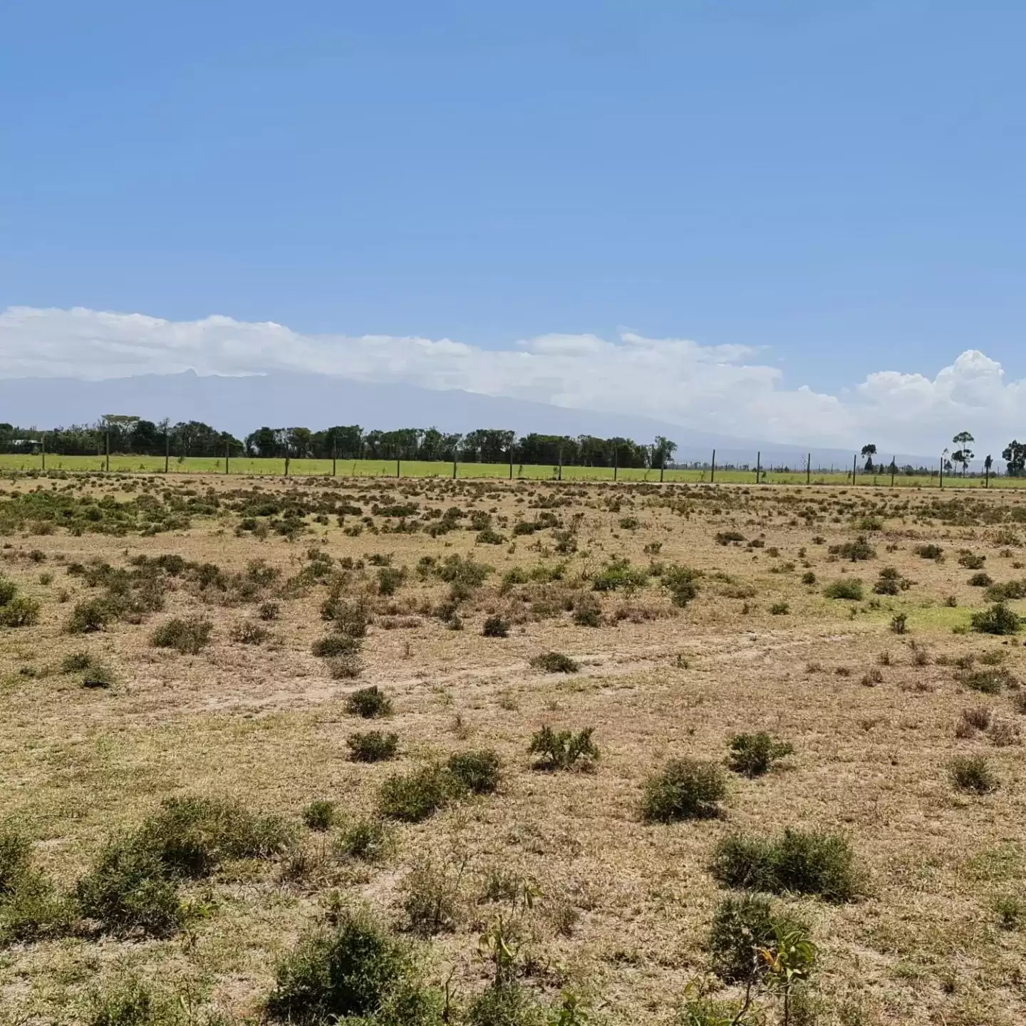 9 and 10 acre land for sale in Nanyuki Image