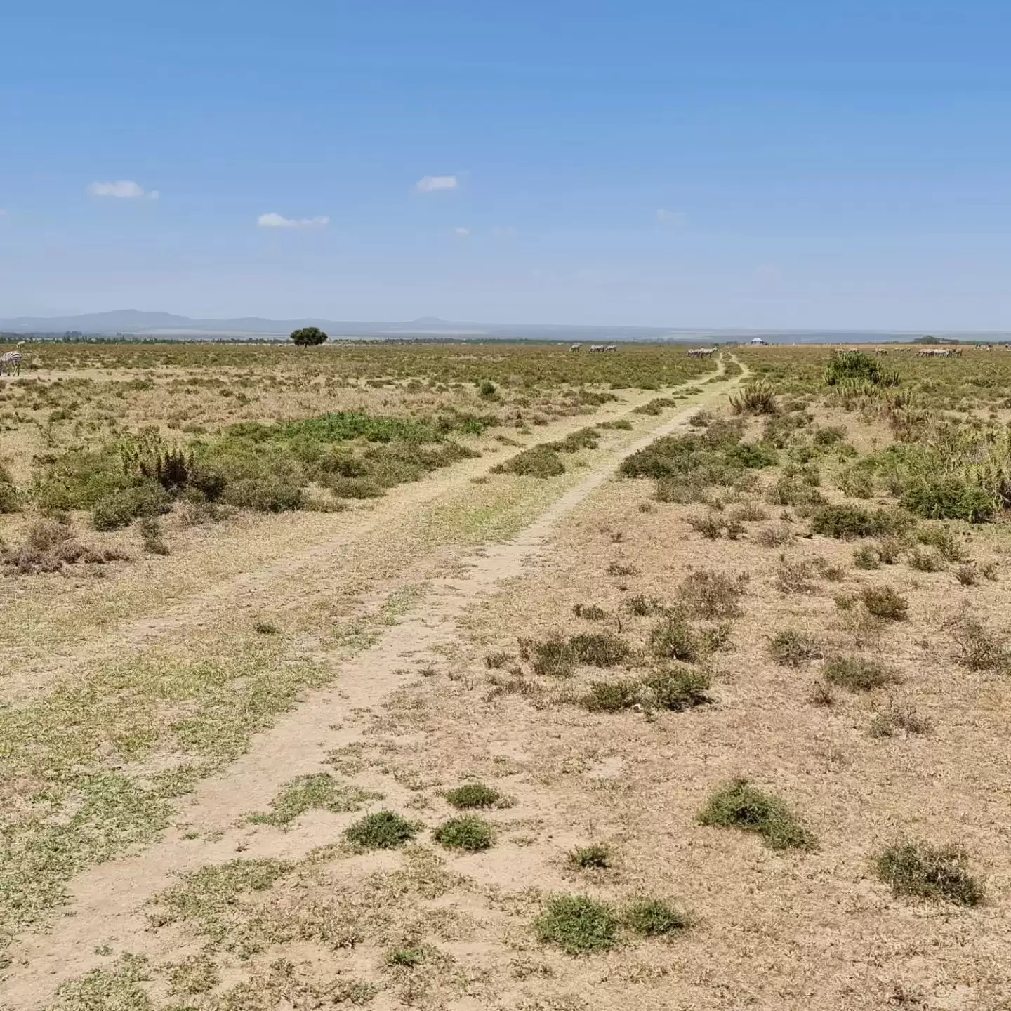 9 and 10 acre land for sale in Nanyuki Image