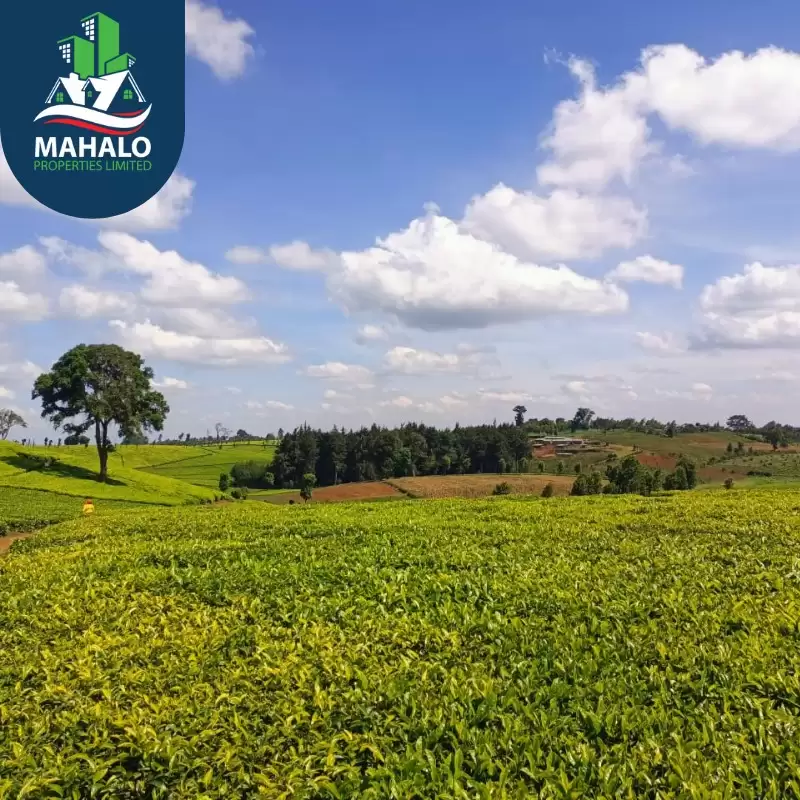 95 acre land for sale in Kiambu Riara ridge Image