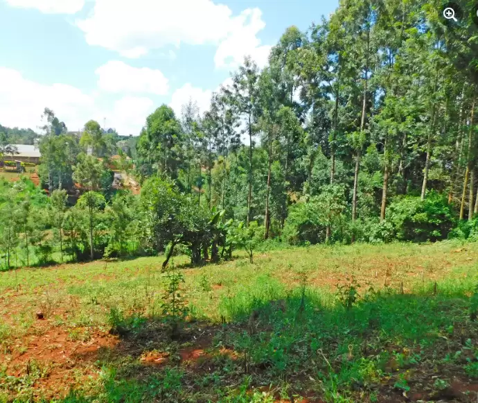 A quater an Acre of land for sale in Ruaka Image