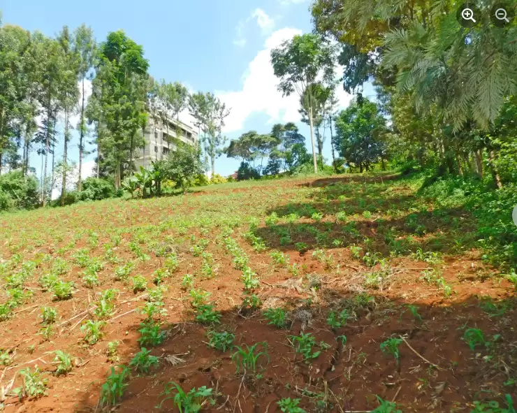 A quater an Acre of land for sale in Ruaka Image