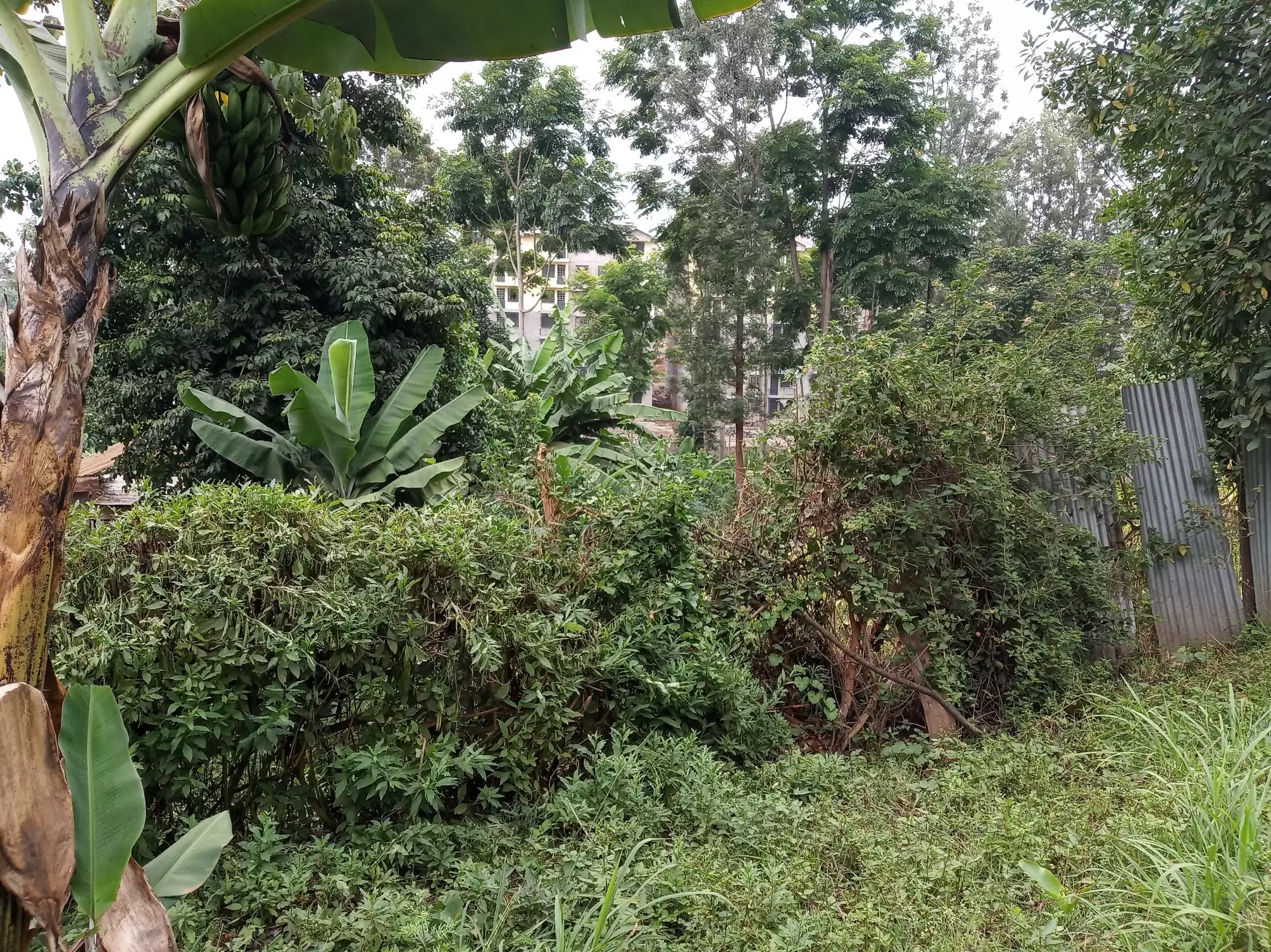 Commercial land for sale in Kiambu town Image