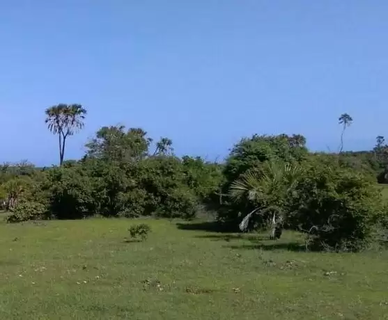 Diani Kwale county land for sale Image