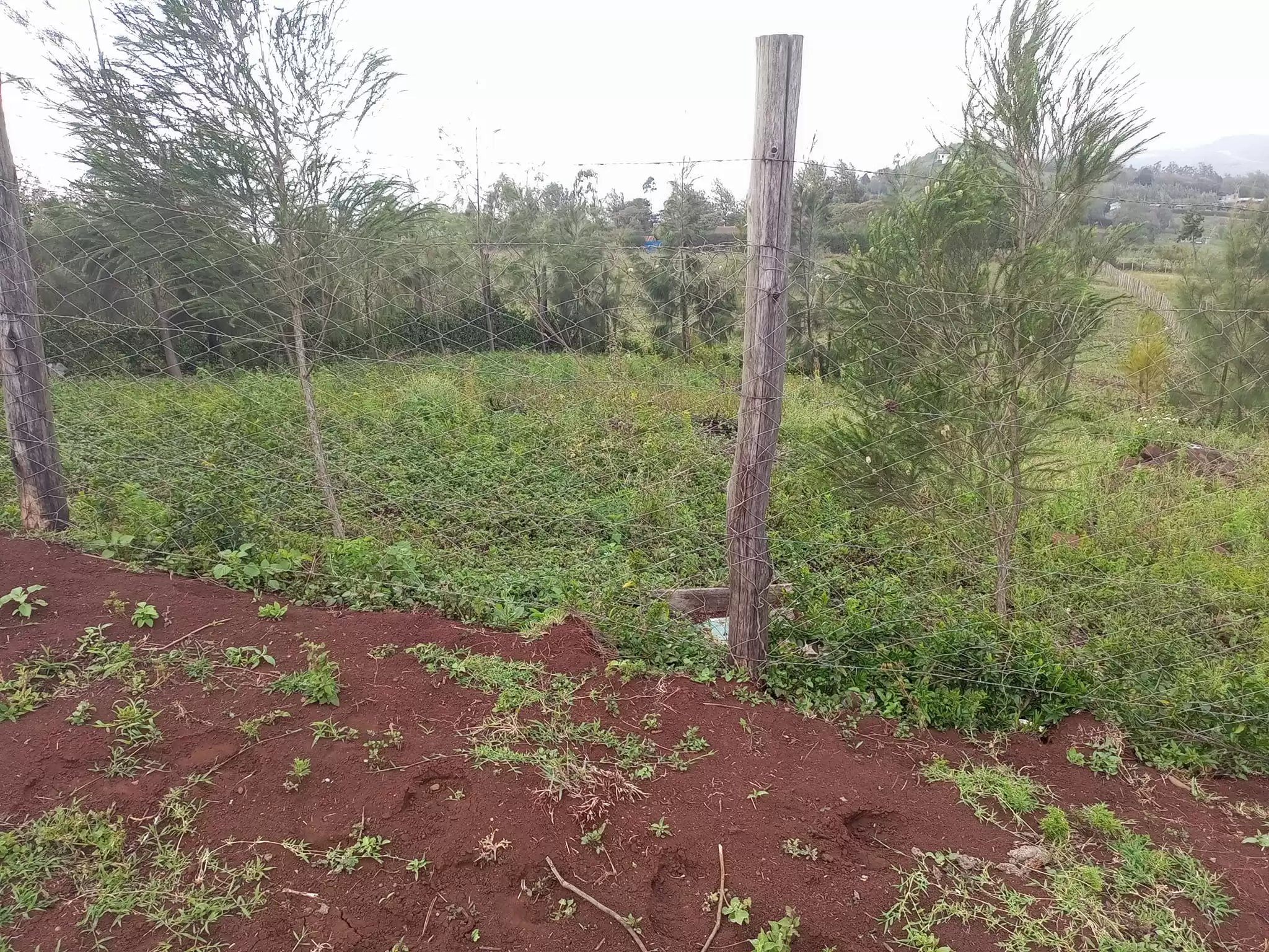 Eight acre plots for sale in Ngong Kibiko Image