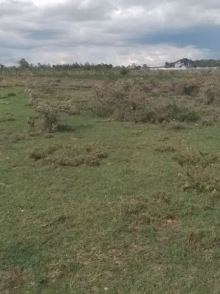 Eighth acre land for sale in Nanyuki Sweetwaters Image