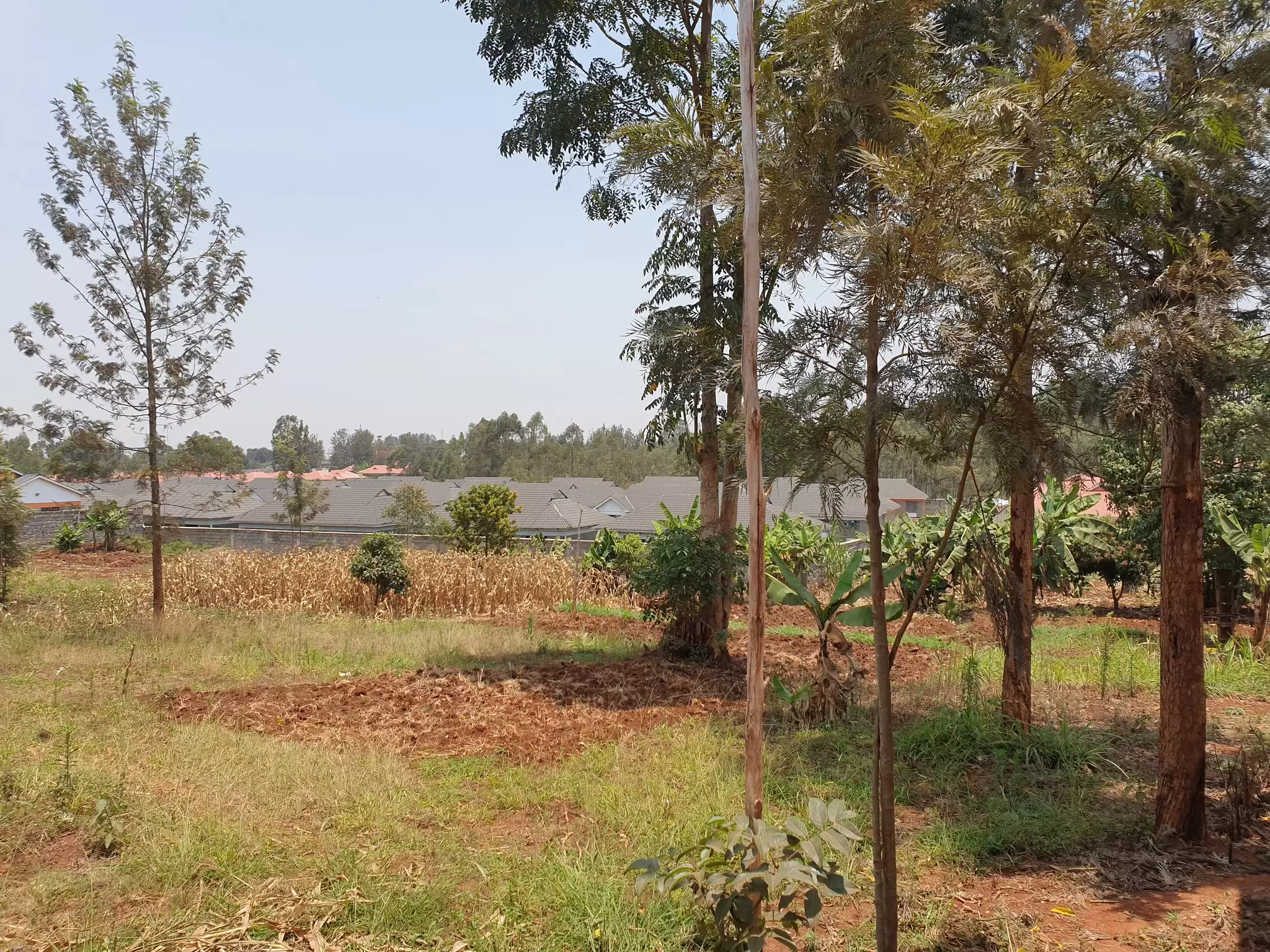 Eighth acre plot for sale along Kenyatta road Image