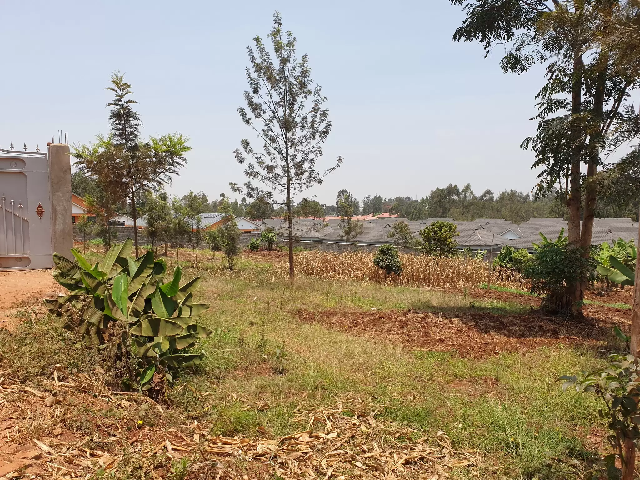 Eighth acre plot for sale along Kenyatta road Image