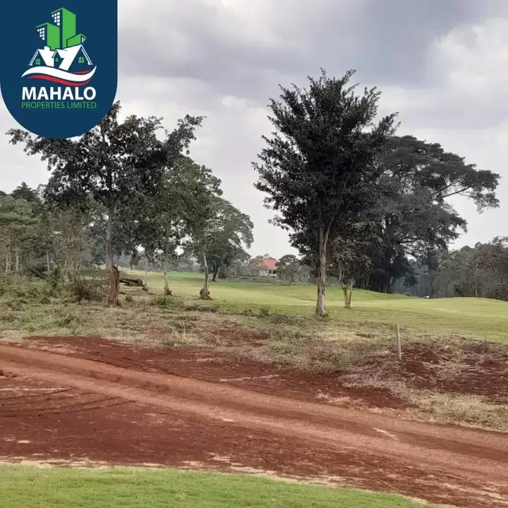 Eighth acre plot for sale in Migaa estate Kiambu Image