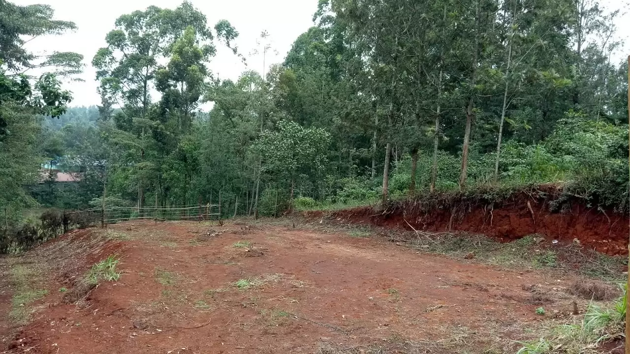 Eighth acre plot s for sale in Kiambu Riara Image