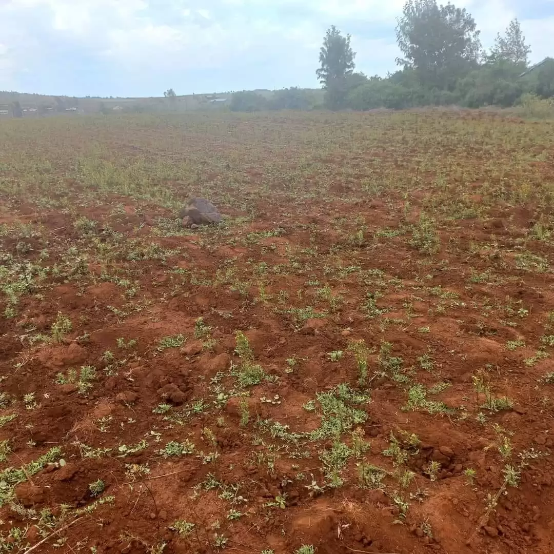 Eighth acre plots for sale in Ngong Image