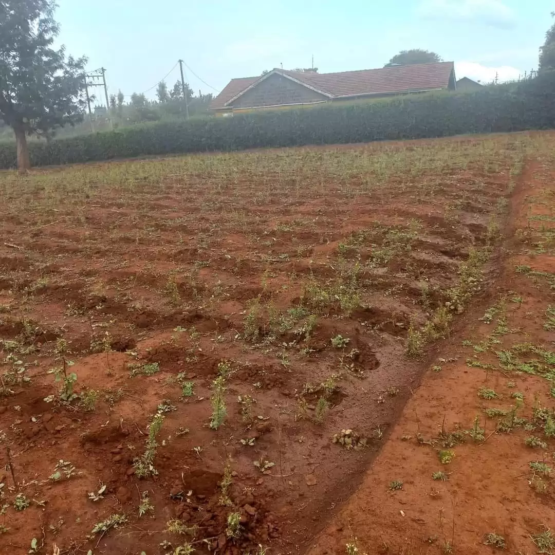 Eighth acre plots for sale in Ngong Image