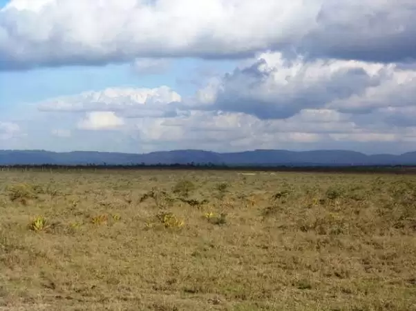 Eighth acre plots for sale in Shalom Gardens Machakos Image