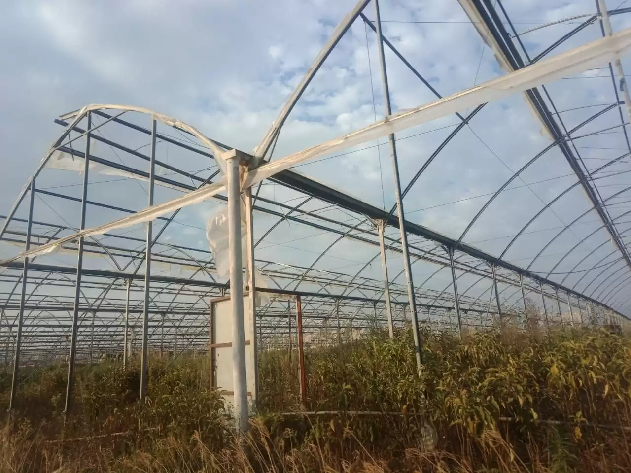 Flower farm for sale in Naivasha Image