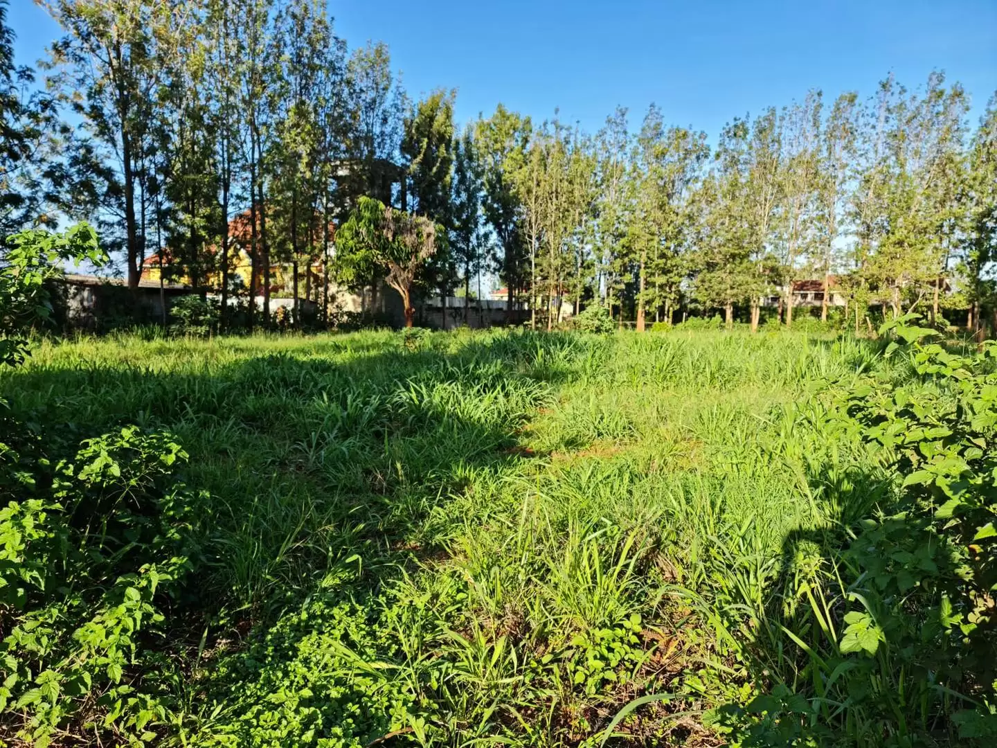 Half acre Land for sale in Kiukenda Kiambu Image