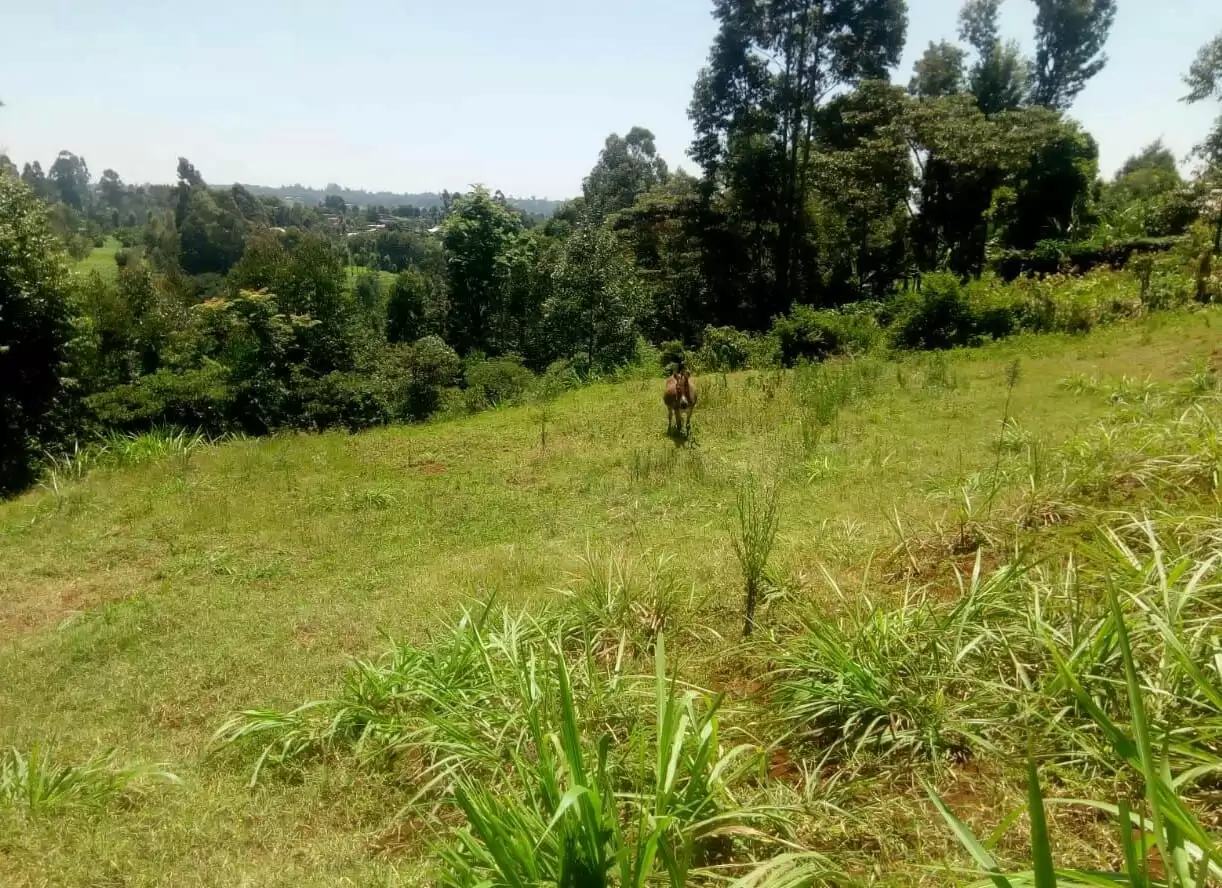 Half acre Land for sale in Tigoni redhill limuru road in Tigoni, Kenya