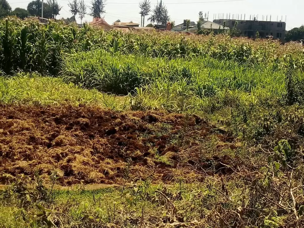 Half acre Land for sale in Tigoni redhill limuru road in Tigoni, Kenya