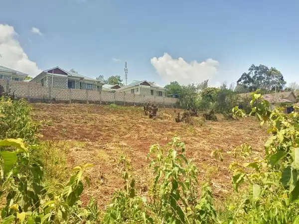 Half acre plot for sale in Ngong Kibiko Image