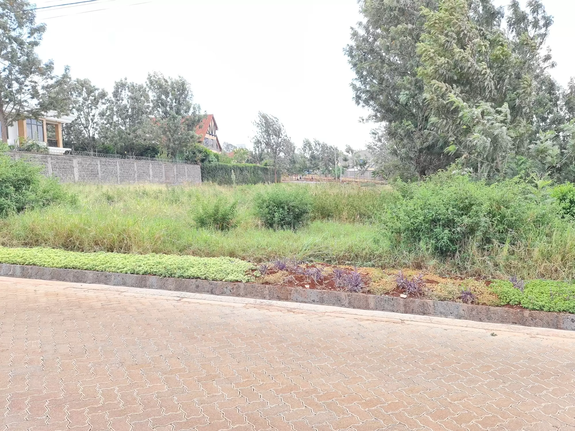 Half acre plots for sale along Kiambu road Mushroom Gardens Image