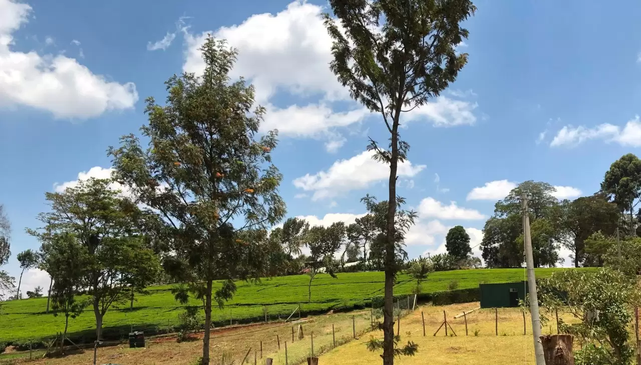 Half acre plots for sale in Redhill Limuru road Image