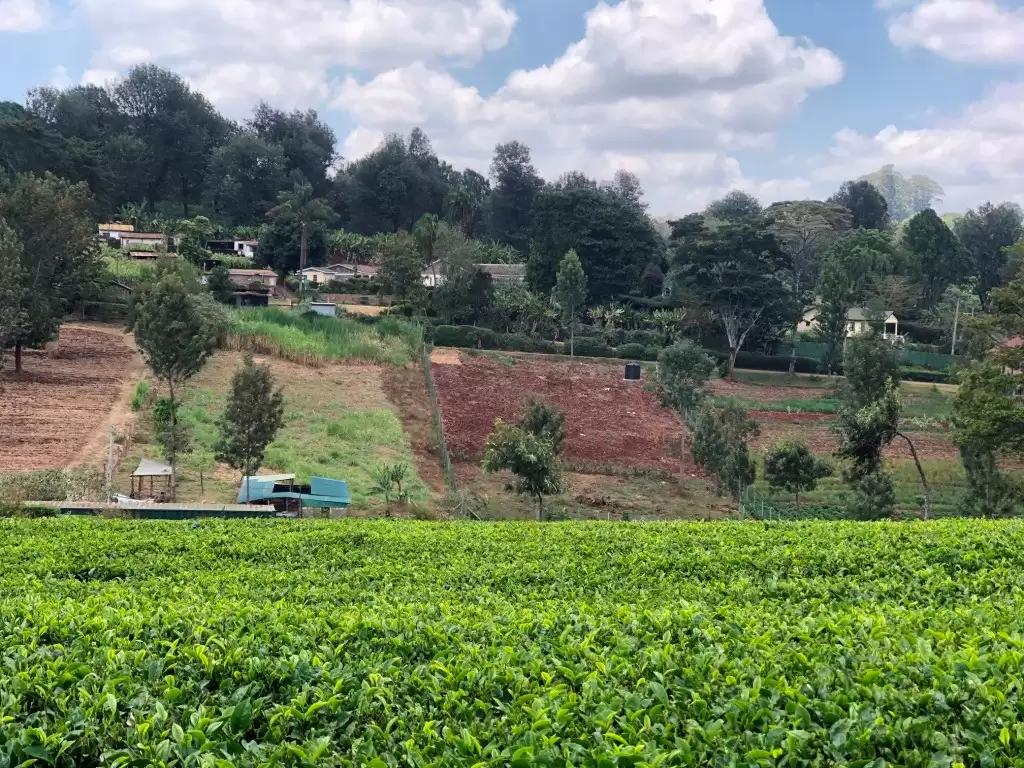 Half acre plots for sale in Redhill Limuru road Image