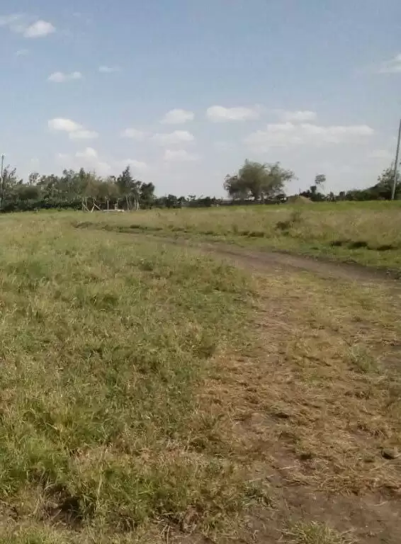 Isinya Birika land for sale Image